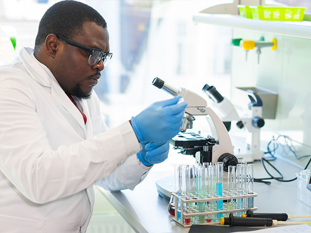 Scientist studying test samples in lab